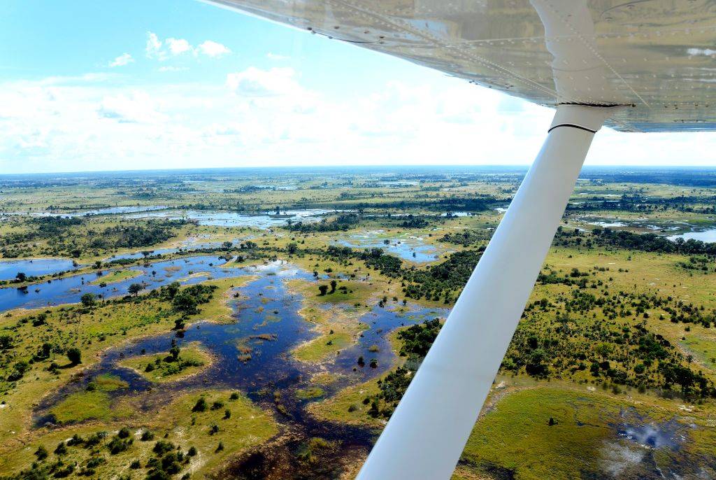 Safari de luxe dans le Delta de l'Okavango : une expérience unique en Afrique