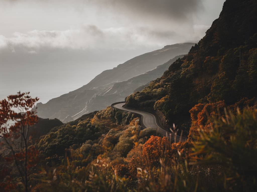 Madeire en automne : pourquoi cette saison est idéale pour explorer l’île